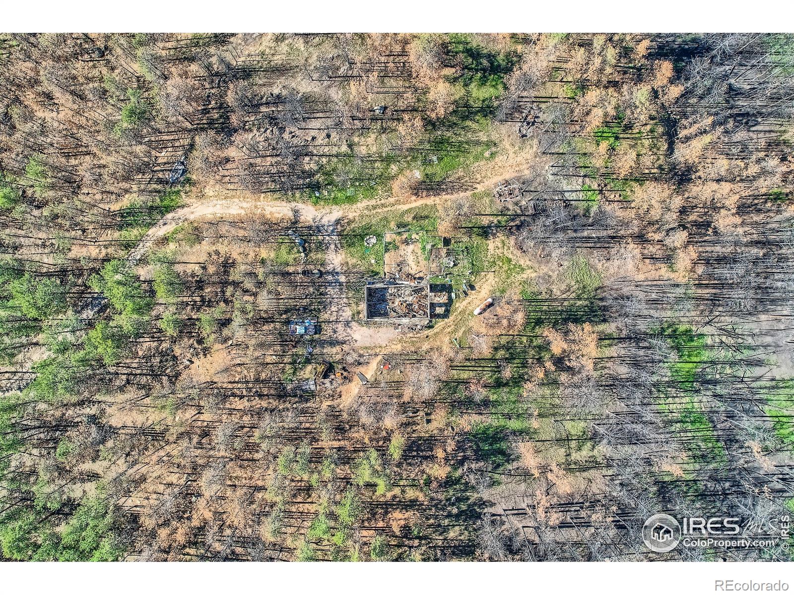 1448 Spruce Mountain Drive