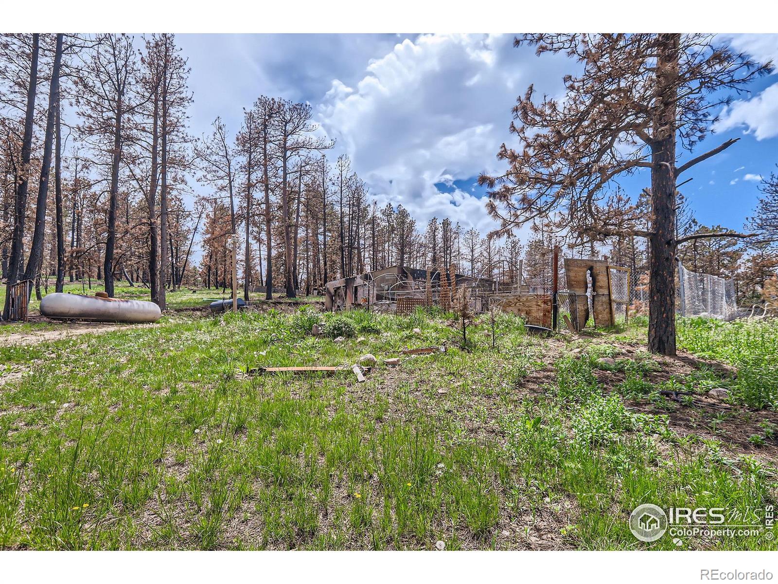 1448 Spruce Mountain Drive