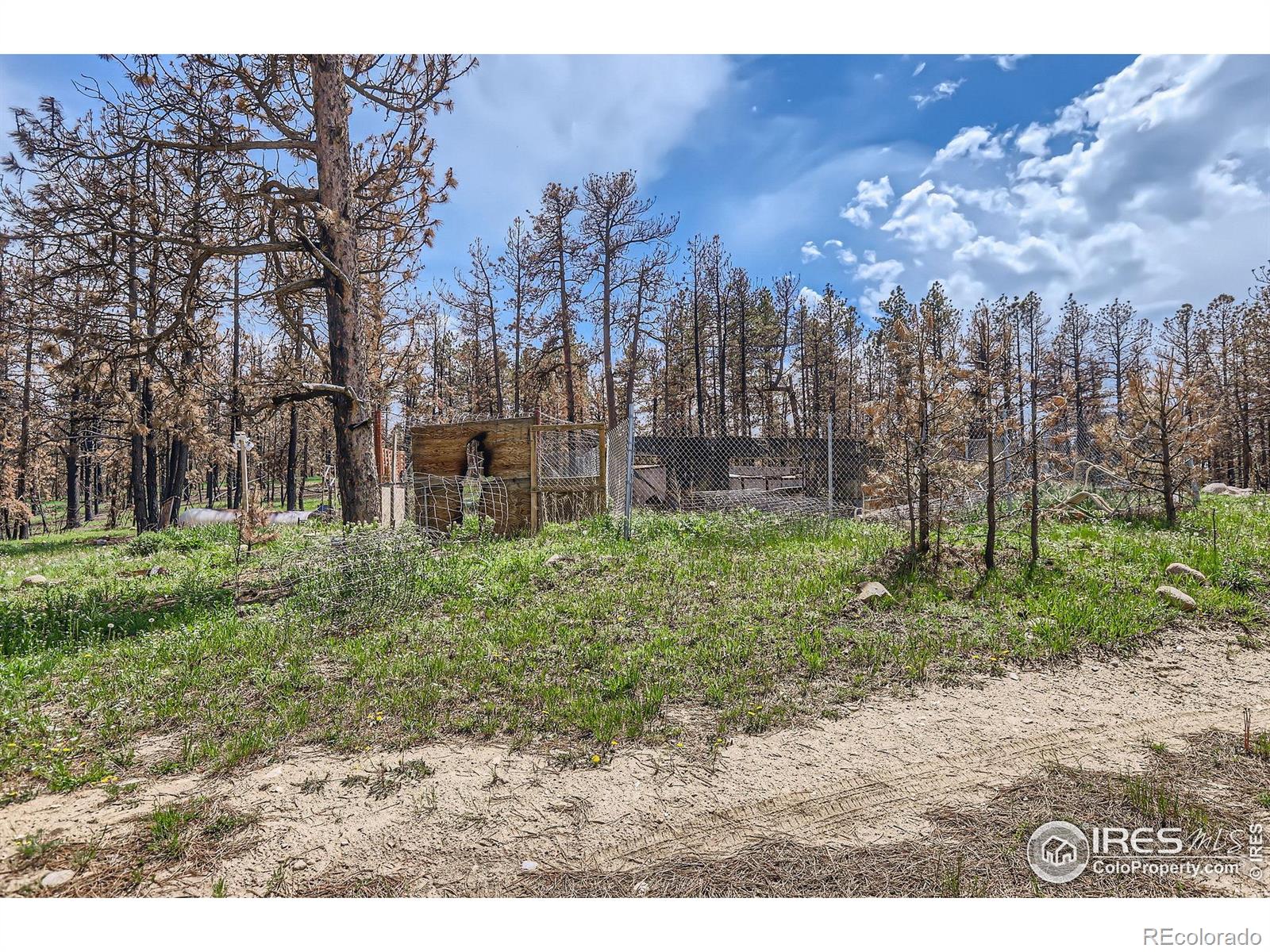 1448 Spruce Mountain Drive