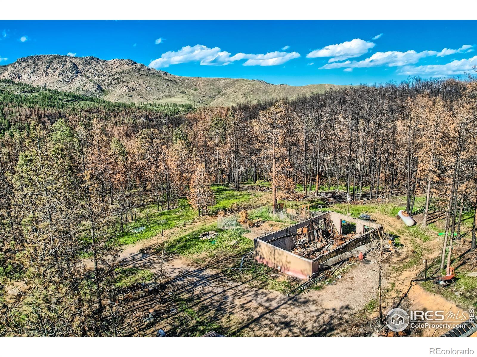 1448 Spruce Mountain Drive