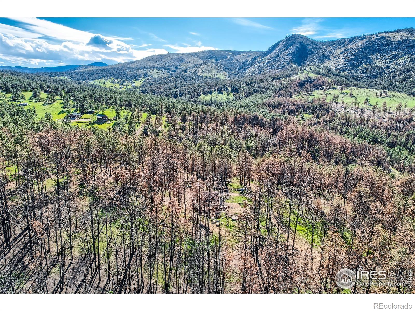 1448 Spruce Mountain Drive