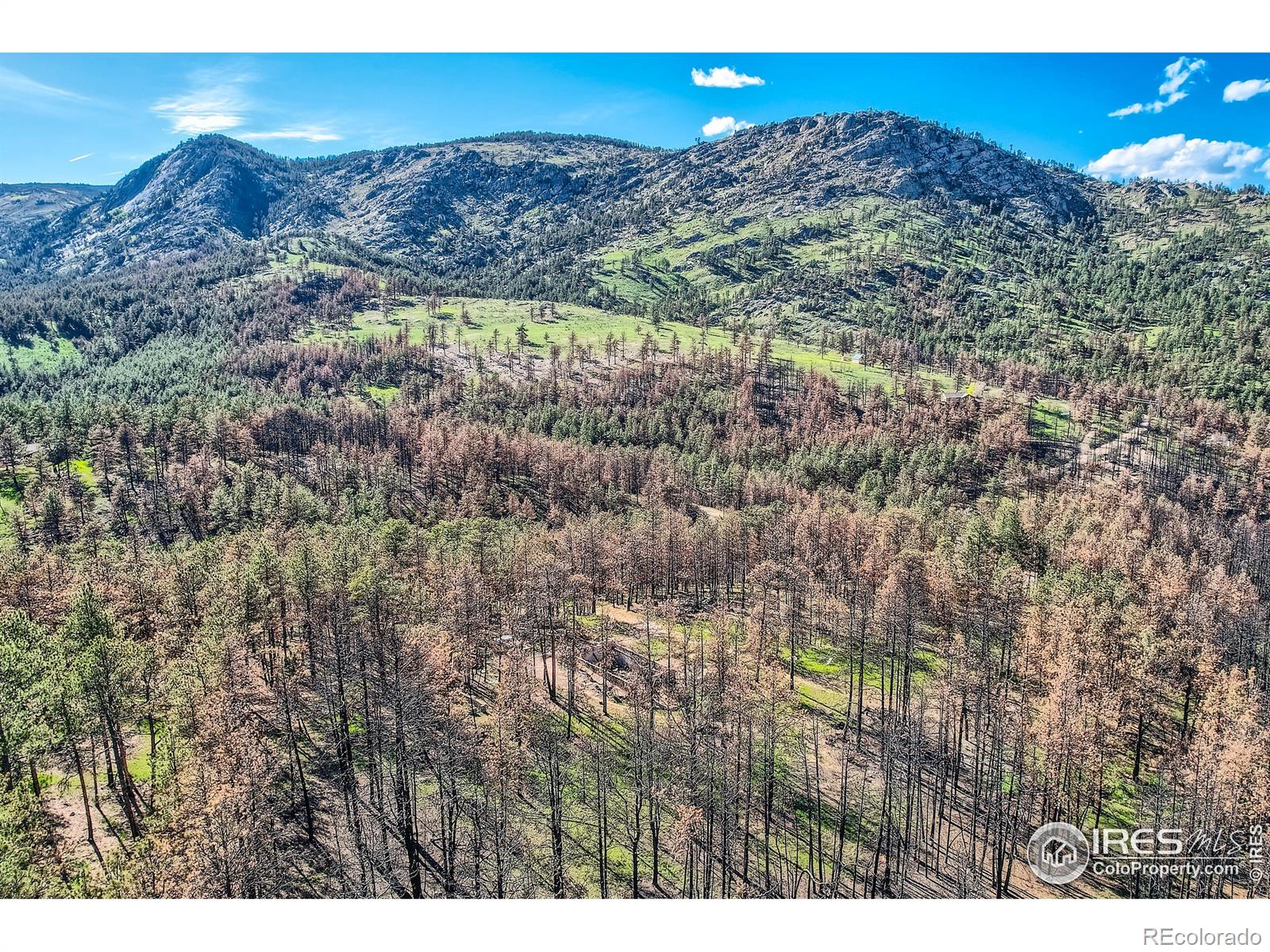 1448 Spruce Mountain Drive