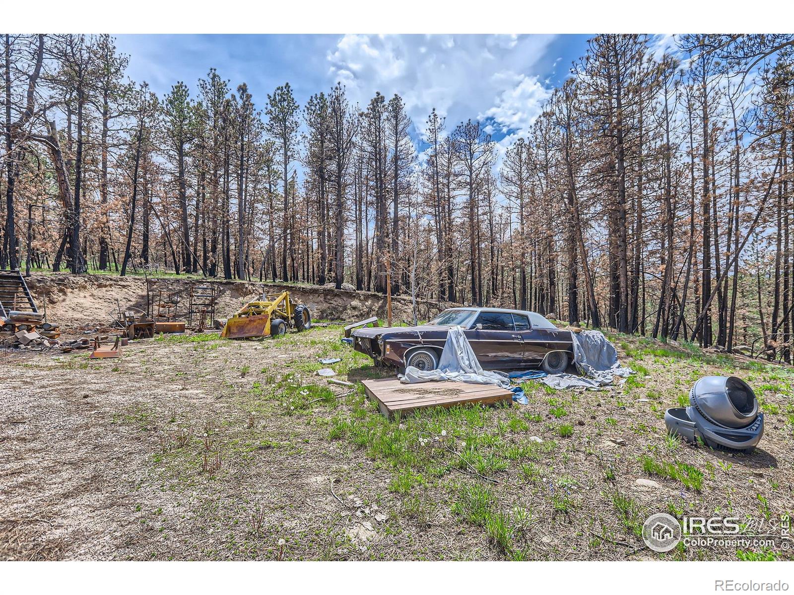 1448 Spruce Mountain Drive