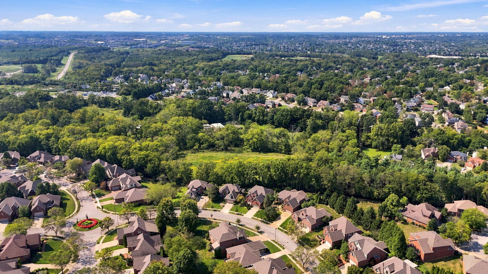 Aerial view of a leafy Lexington neighborhood with homes, wooded green space, and a distant city.