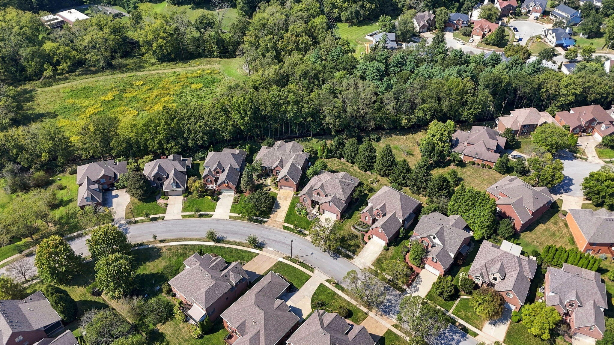 Aerial view of homes bordering a wooded greenbelt in a residential neighborhood.