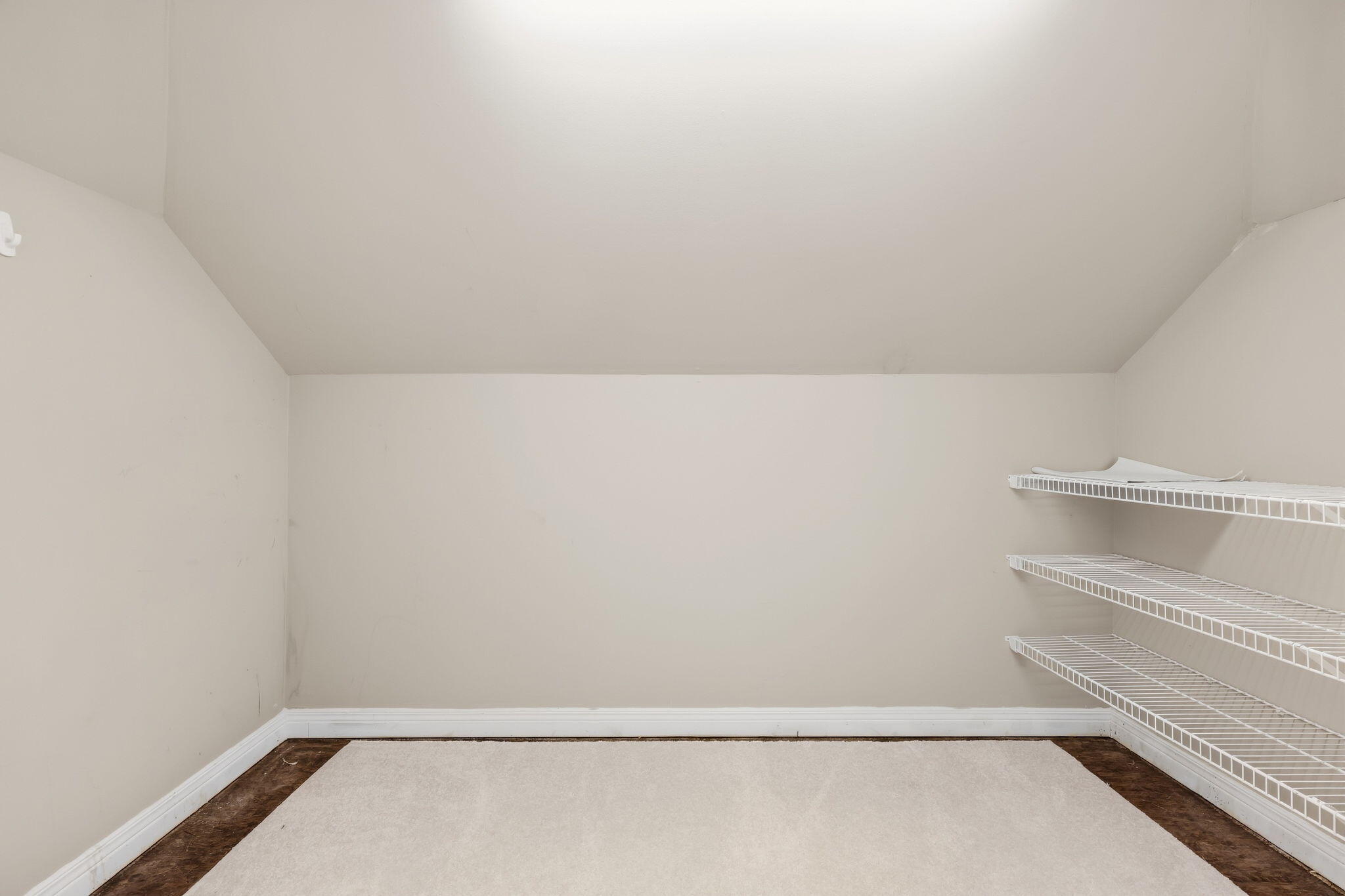 Empty walk-in closet with white wire shelves and carpet bordered by dark wood.