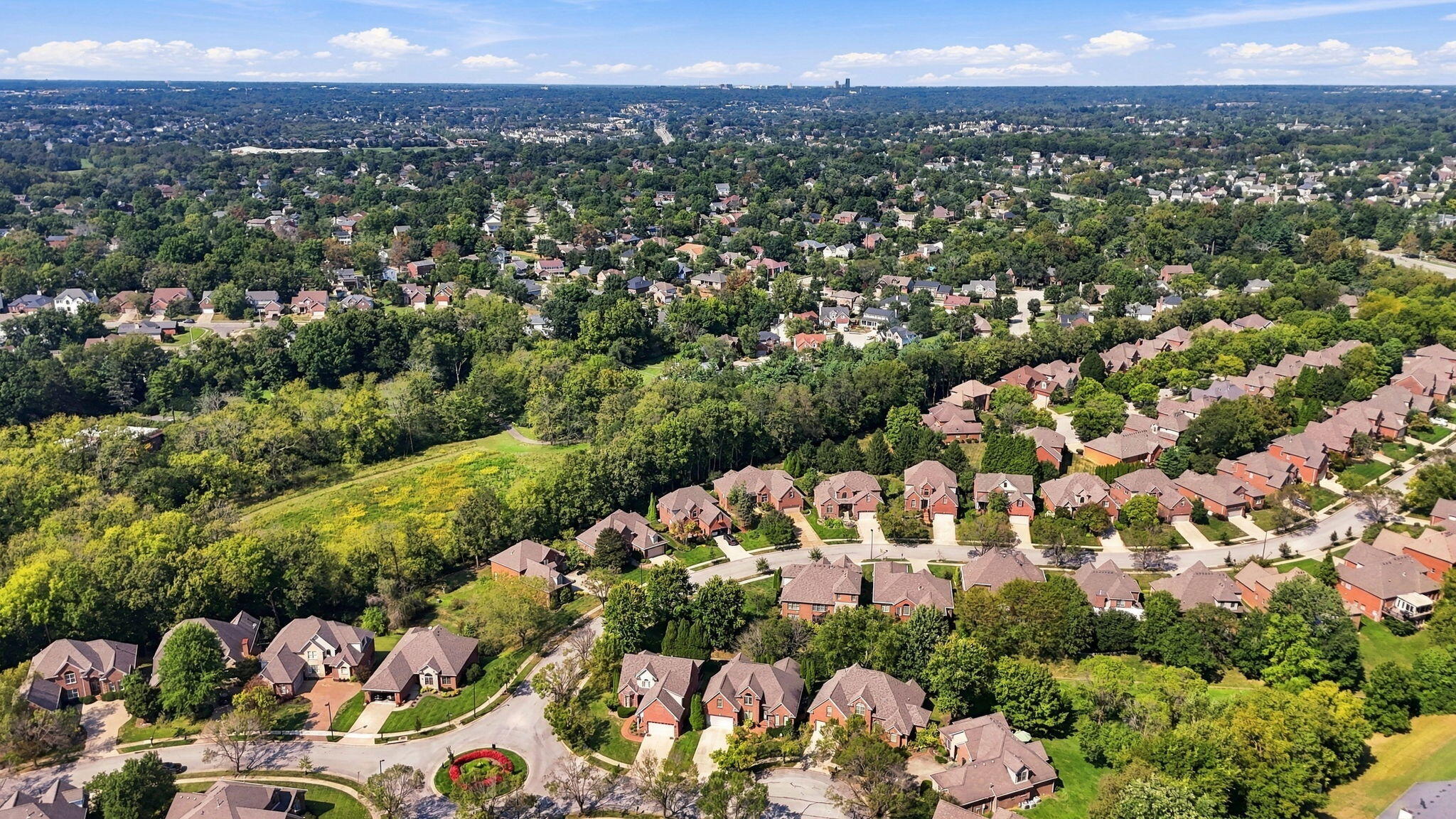 Aerial view of a leafy Lexington neighborhood, with homes, a wooded corridor, and the distant skyline.