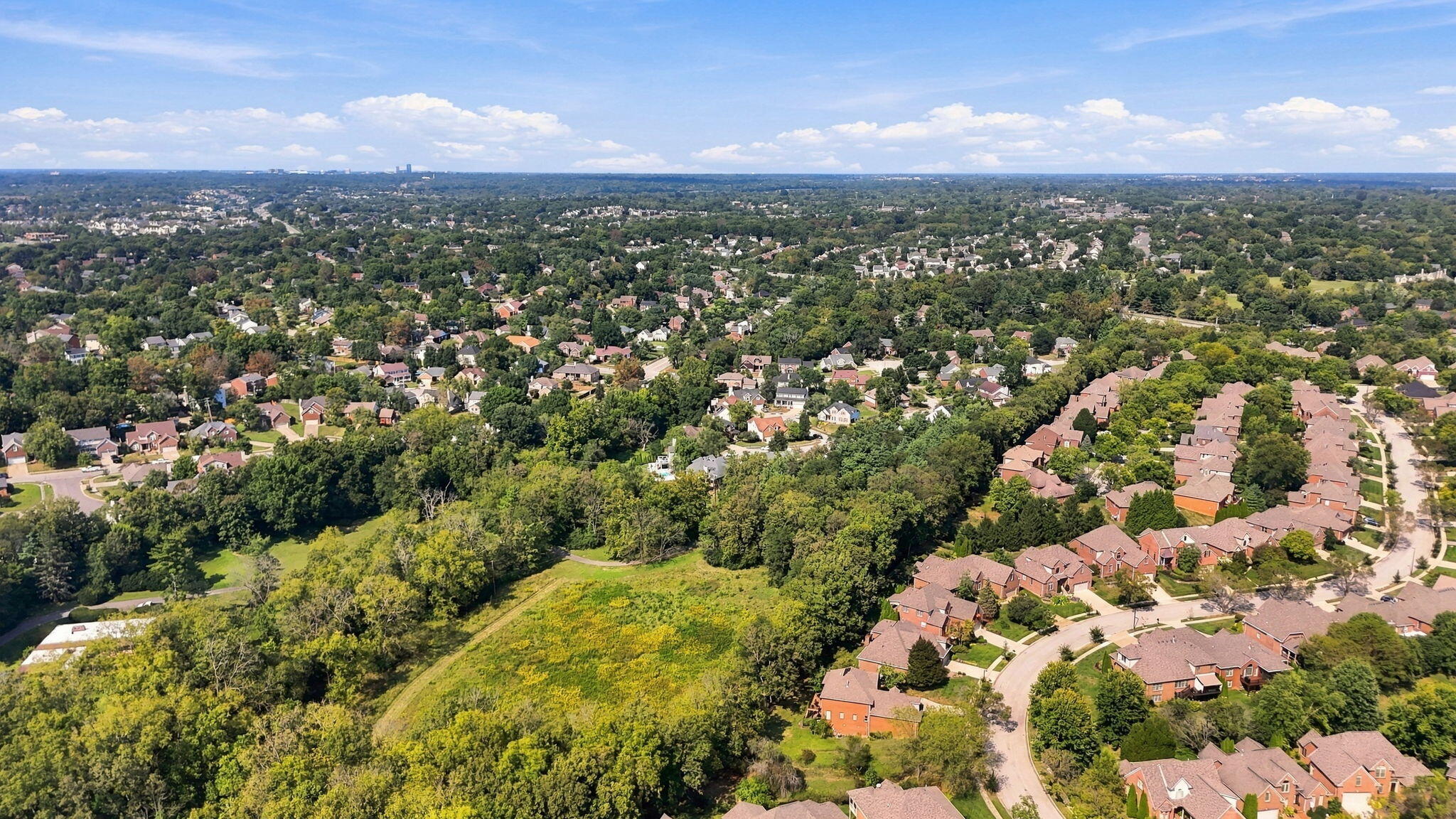 Aerial view of a leafy neighborhood with curving streets and a wooded green space.