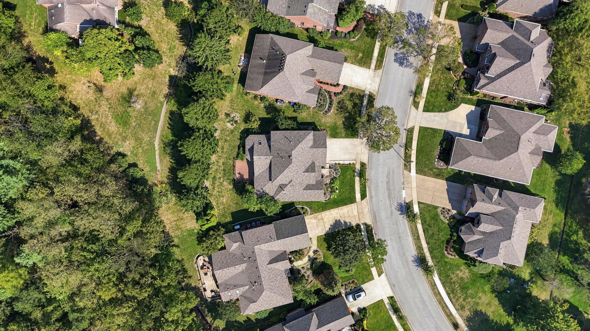 Aerial view of neighborhood homes beside a wooded greenbelt and residential street.