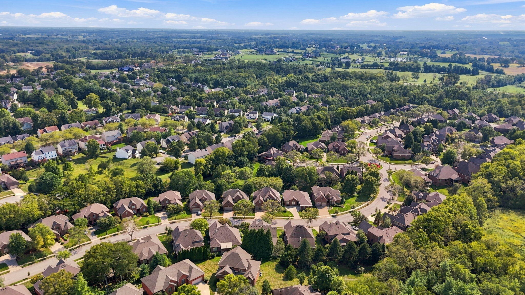 Aerial view of a leafy neighborhood with detached homes, curving streets, and wooded green space.