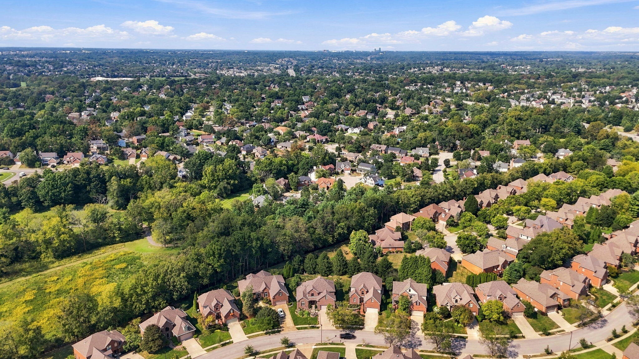 Aerial view of a leafy neighborhood with detached homes and a distant city skyline.
