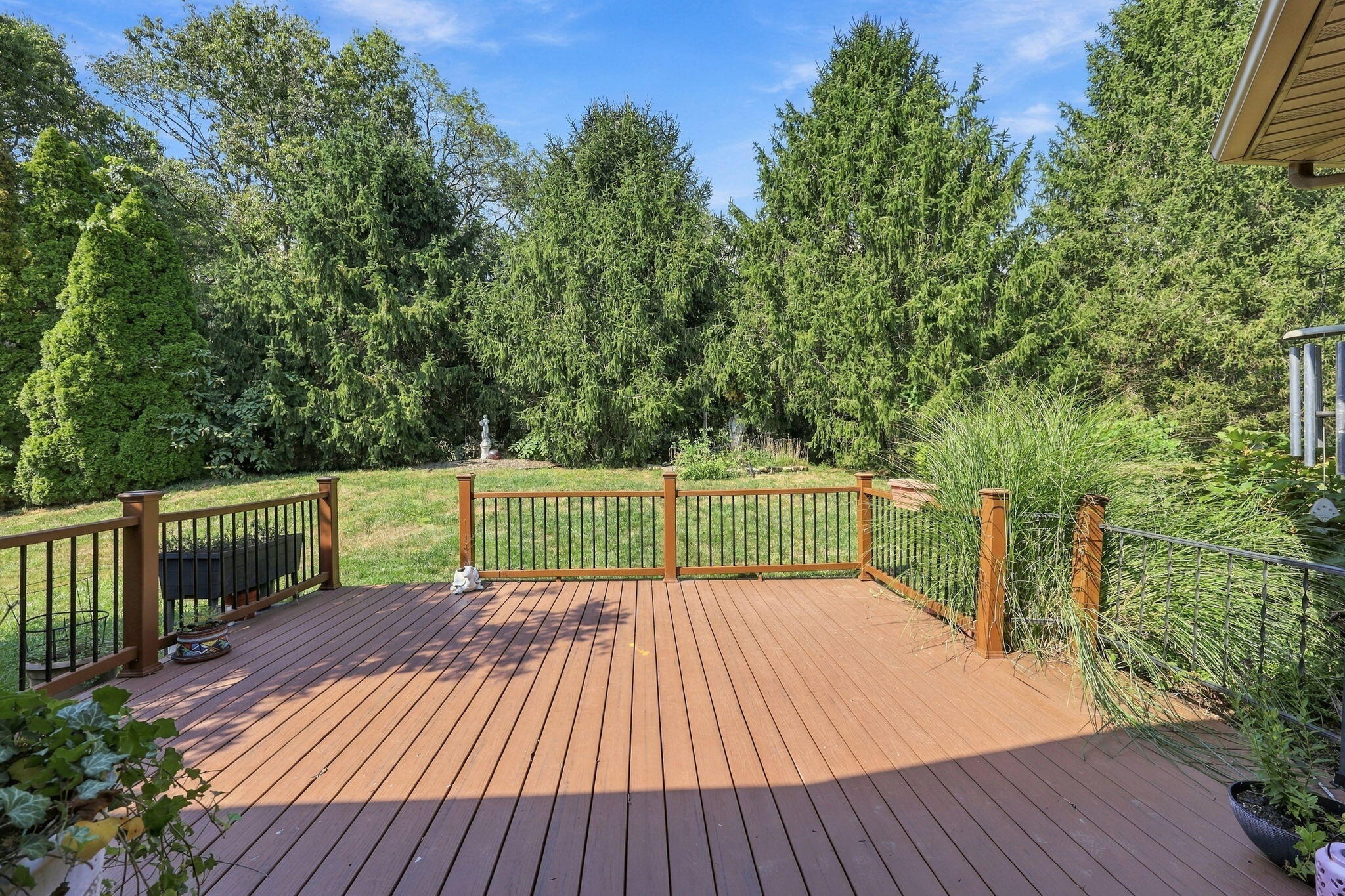 Backyard deck overlooking a lawn bordered by tall evergreens and ornamental grasses.