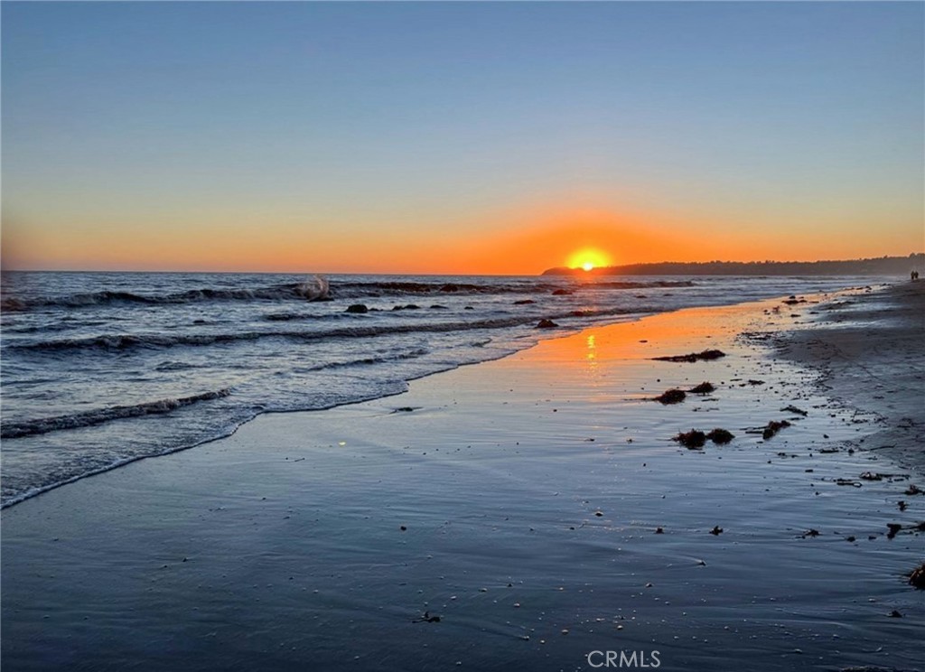 26664 Seagull Way A211