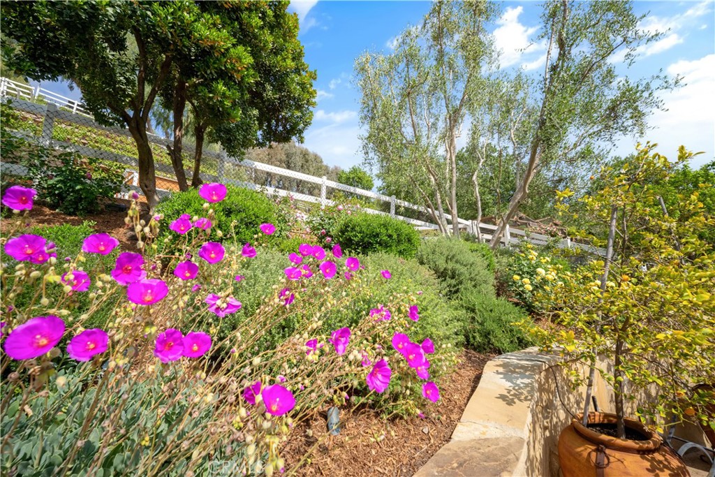 5558 Hoback Glen Road