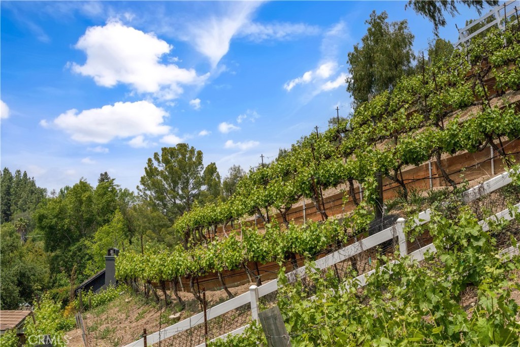 5558 Hoback Glen Road