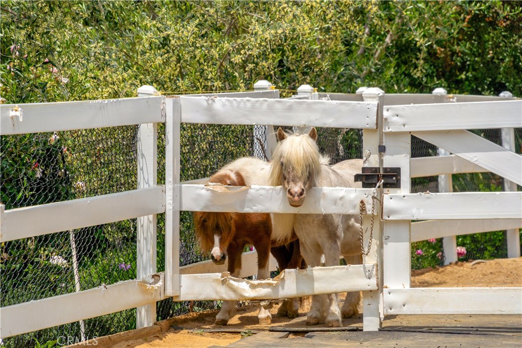 5558 Hoback Glen Road