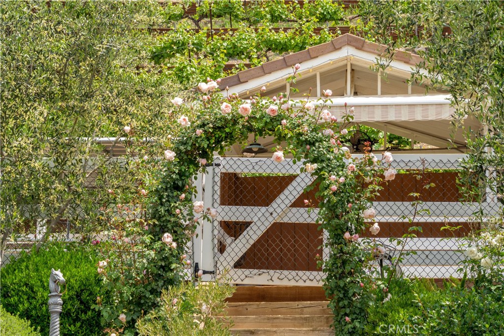 5558 Hoback Glen Road