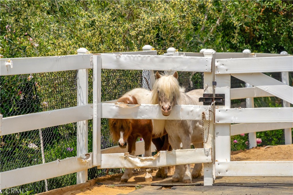 5558 Hoback Glen Road