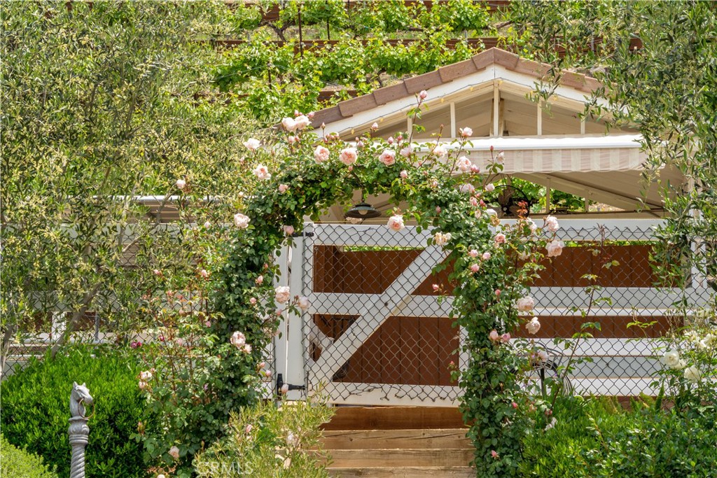 5558 Hoback Glen Road