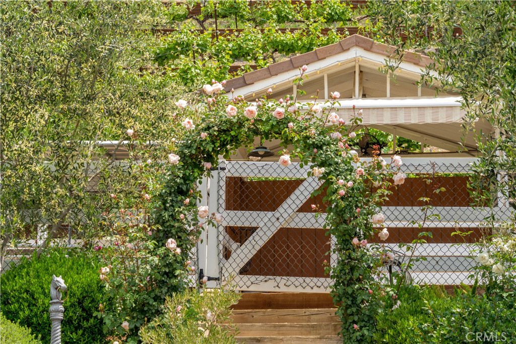 5558 Hoback Glen Road