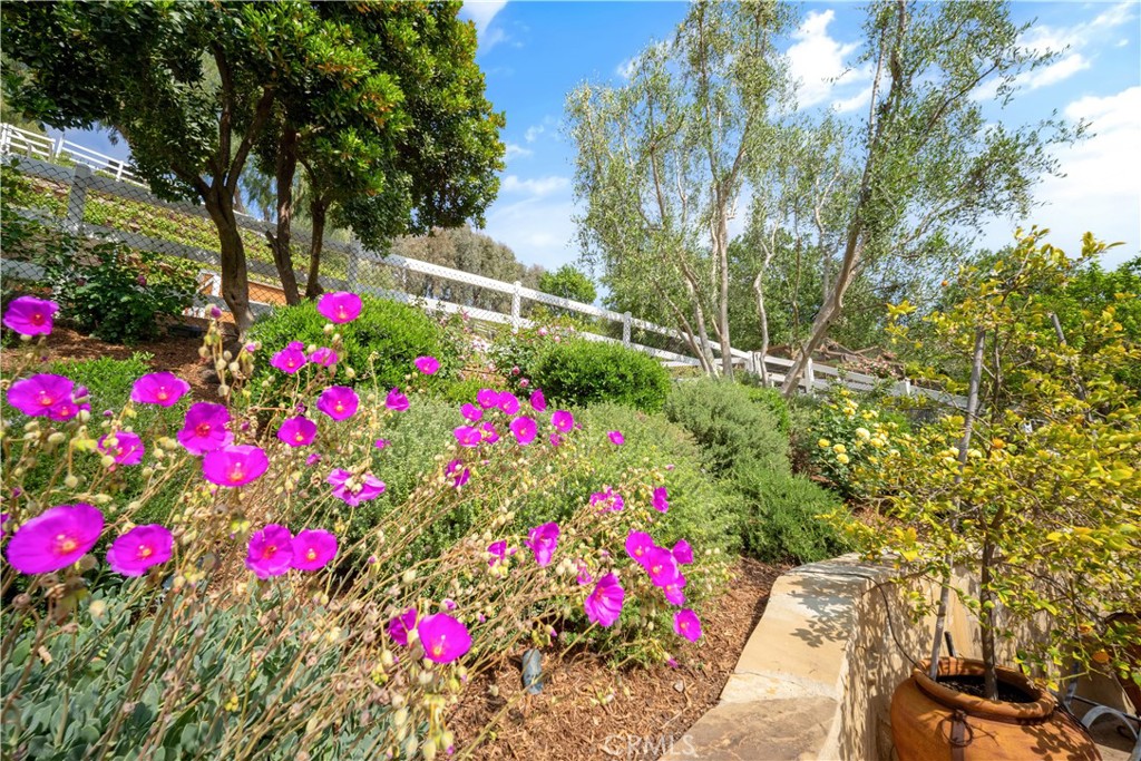 5558 Hoback Glen Road