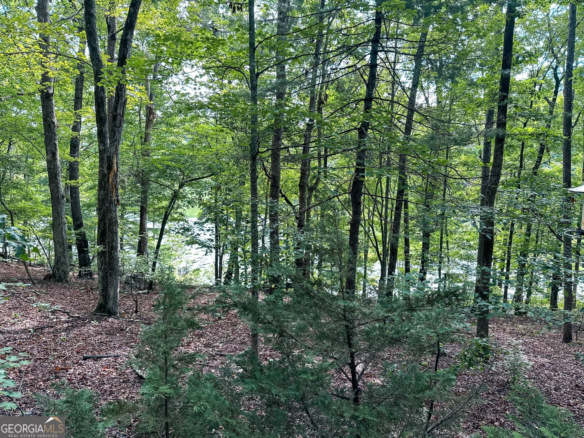 71 Mountain Park Boulevard