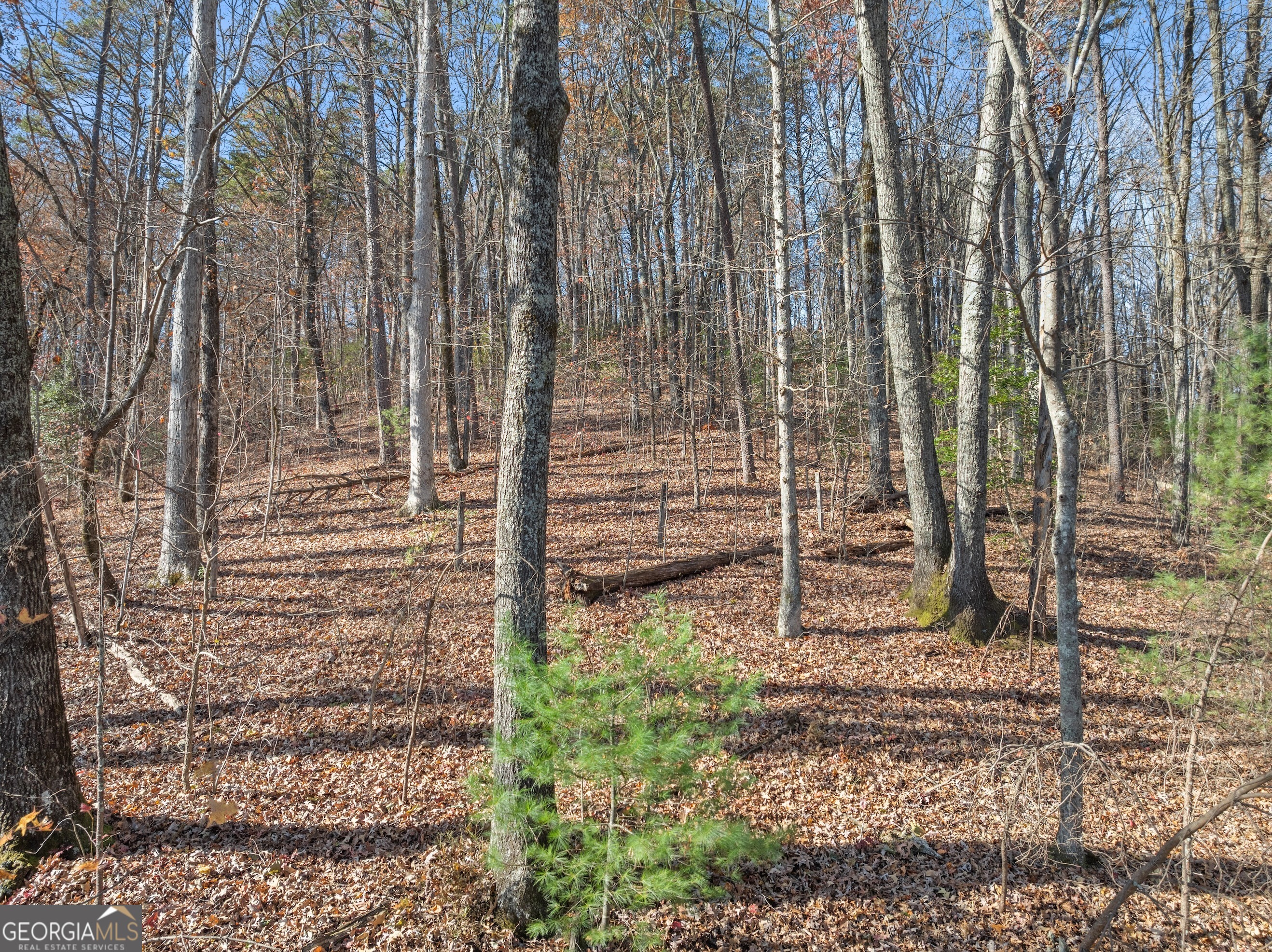 LOT 50 & 51 Meadow Crest Drive