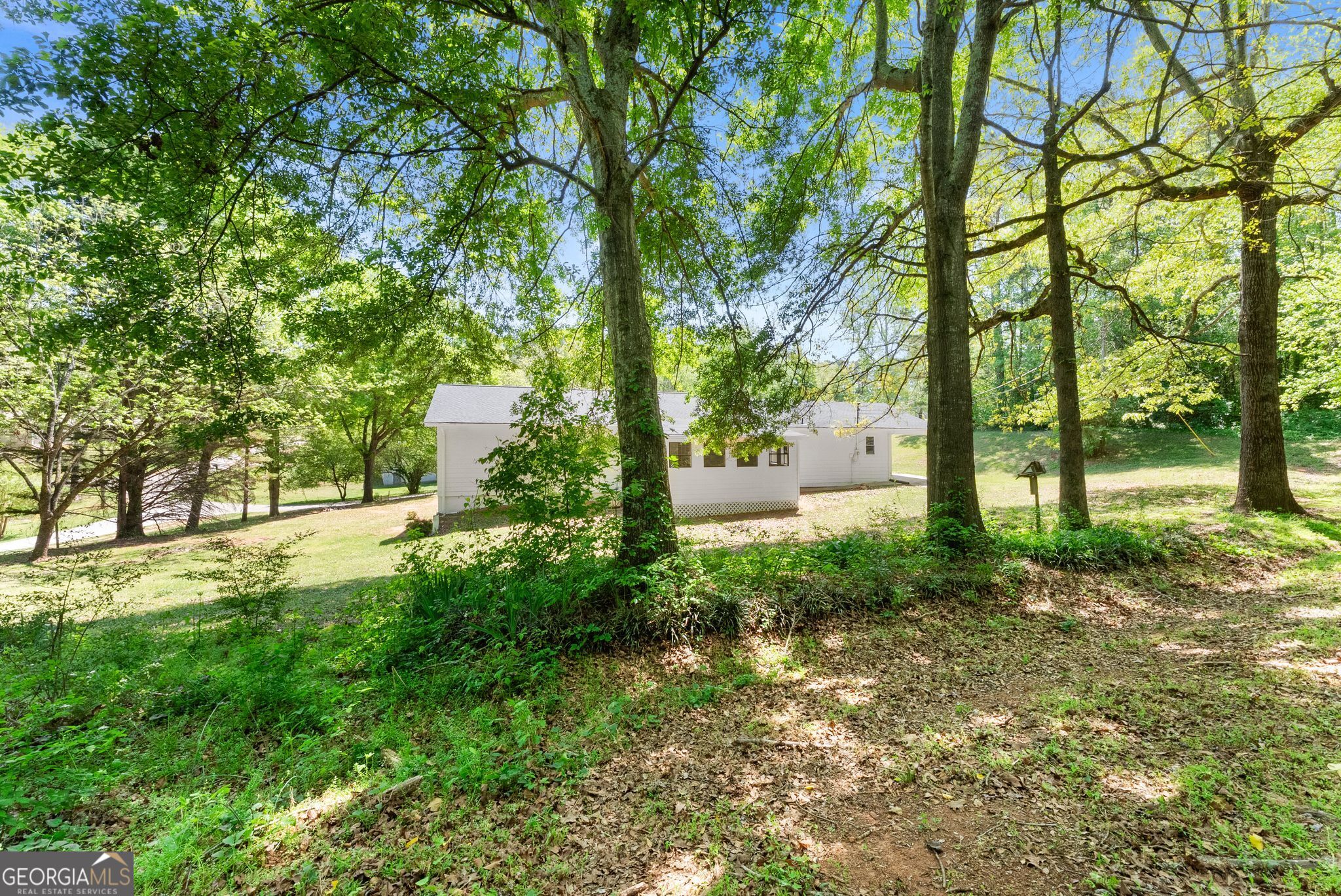 217 Quail Trail