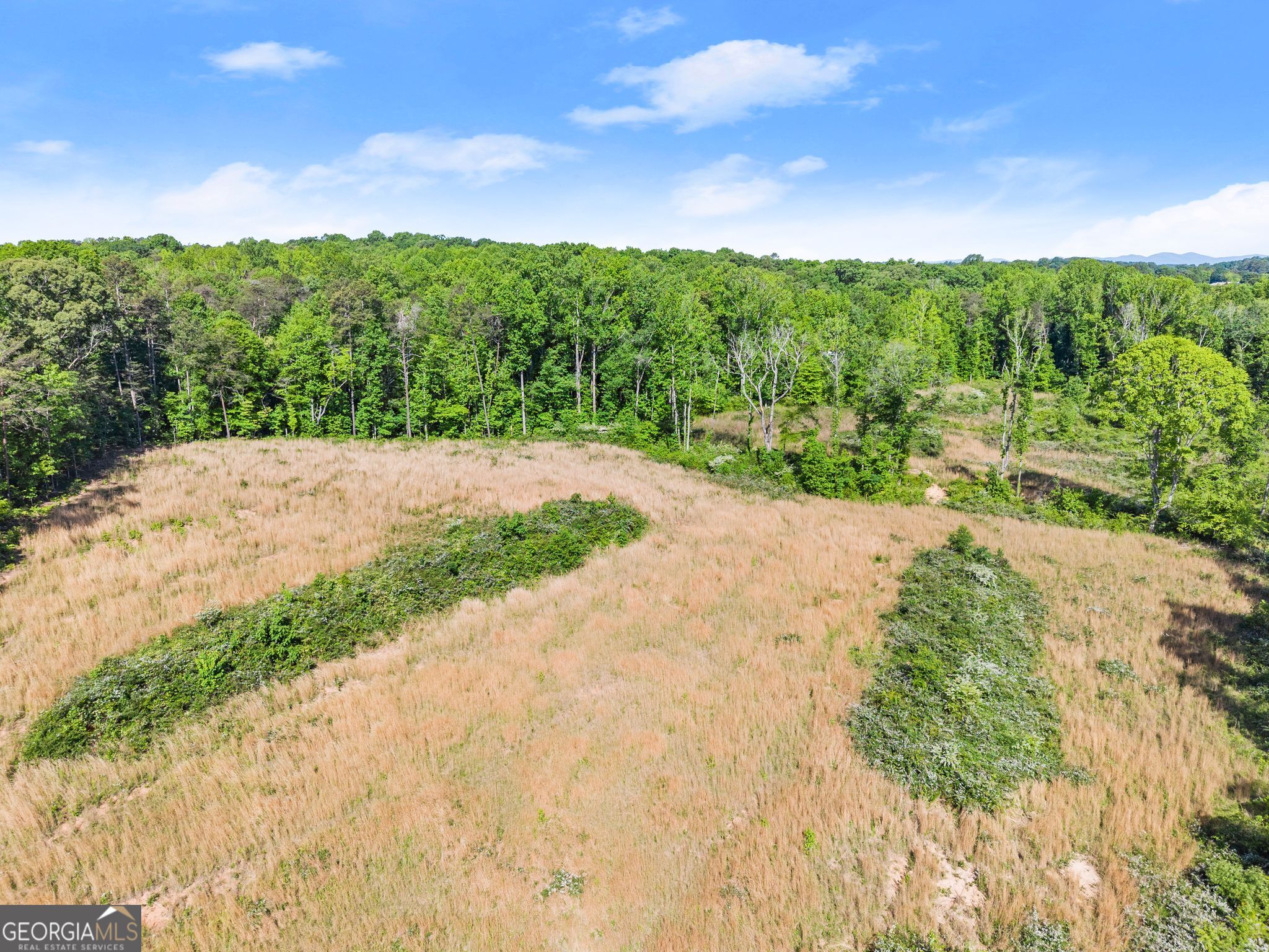6147 Dahlonega Highway
