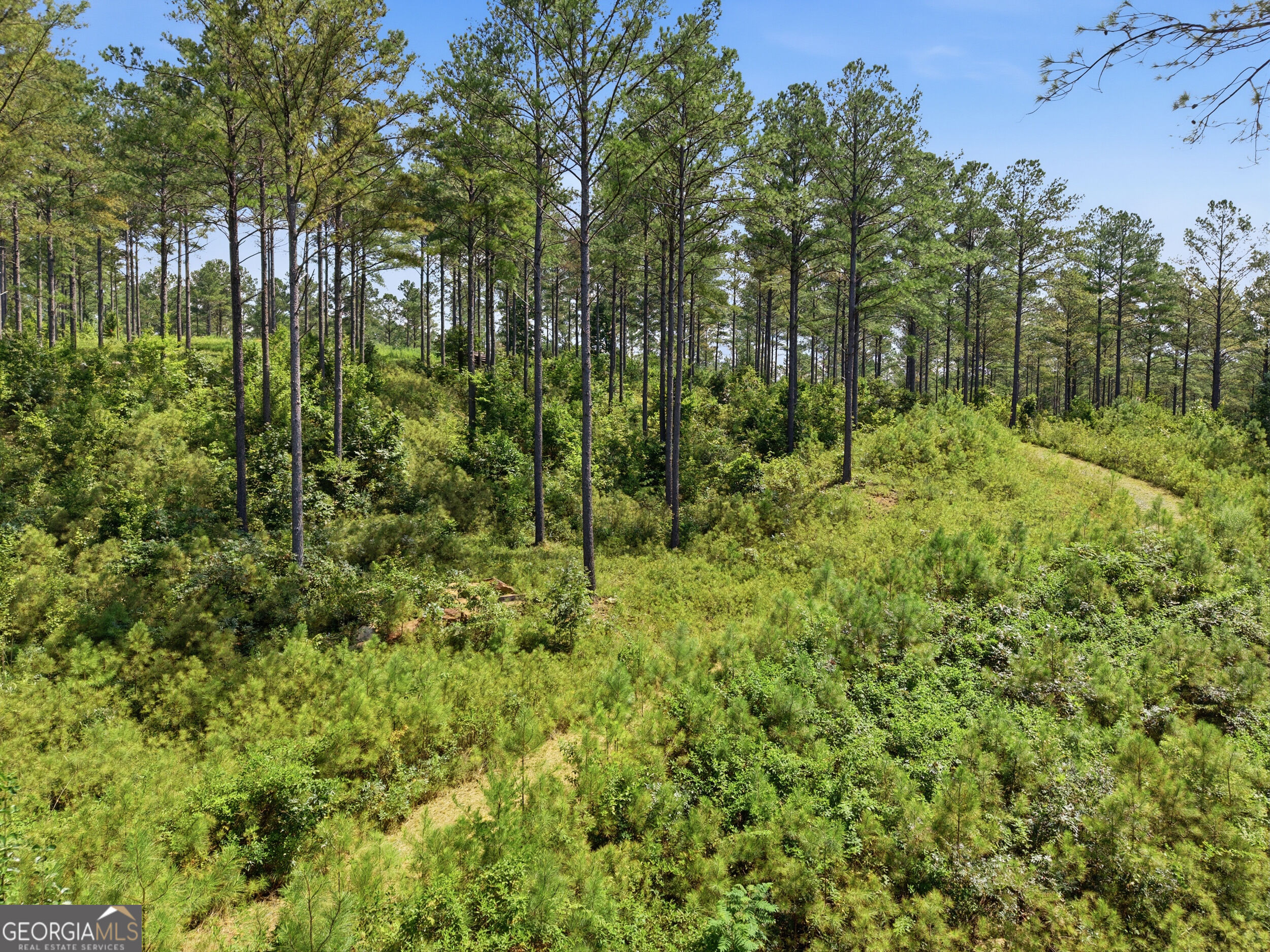 LOT 28 Hillside Lane