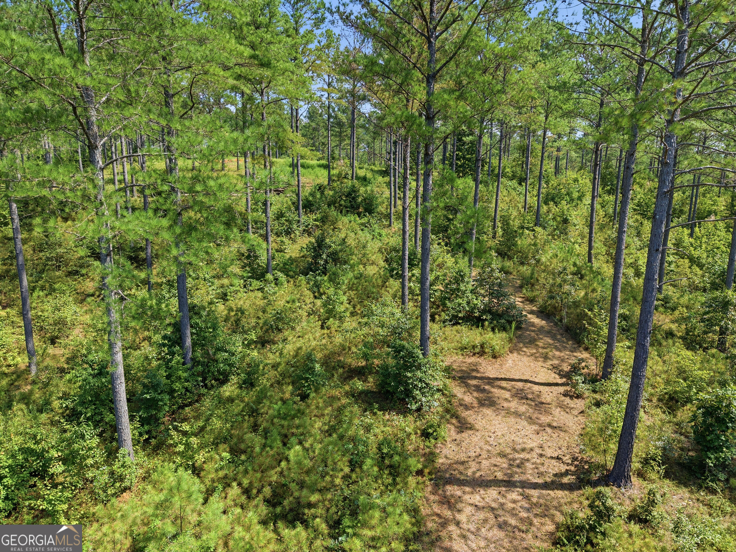 LOT 28 Hillside Lane