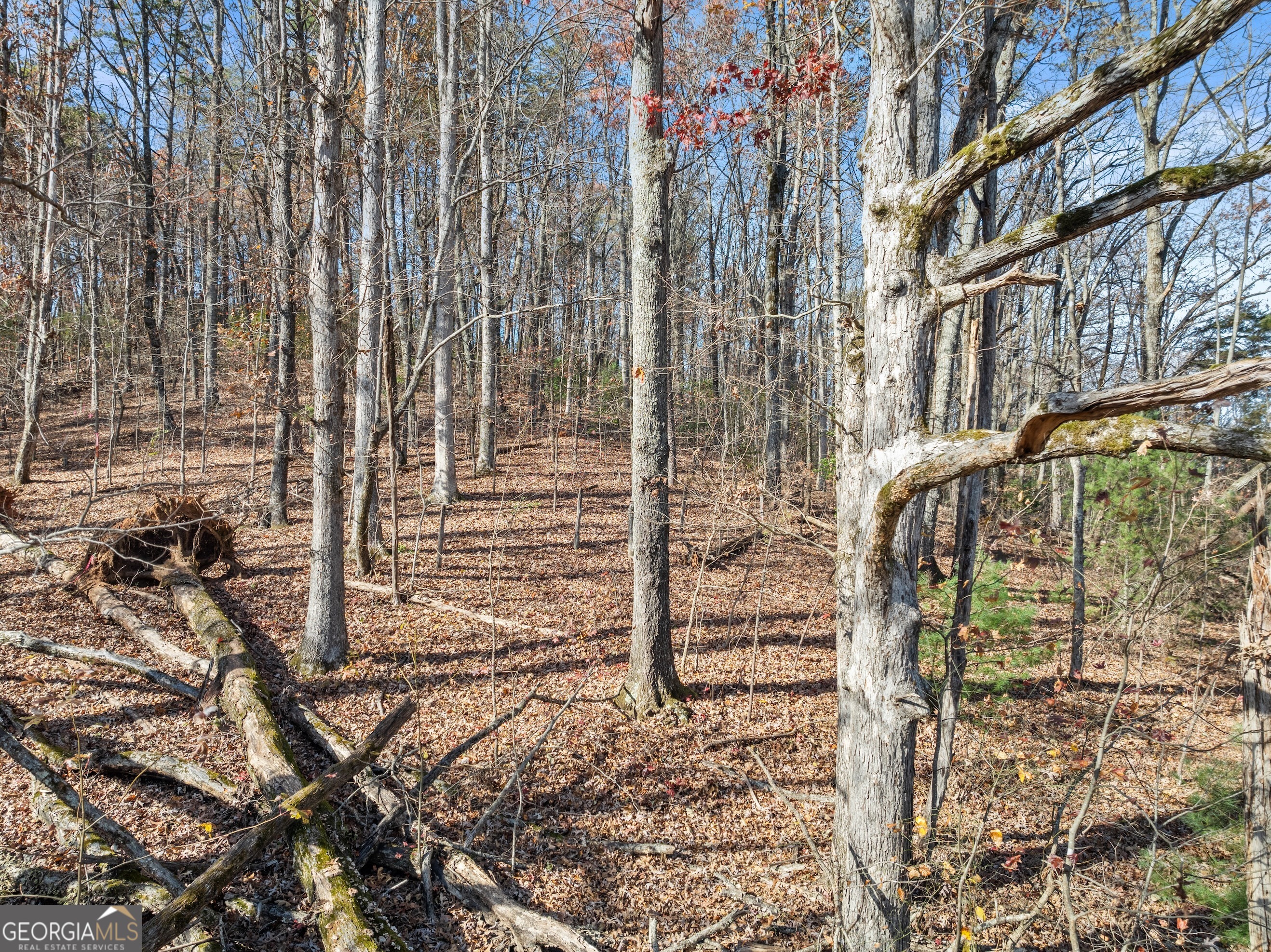 LOT 50 & 51 Meadow Crest Drive