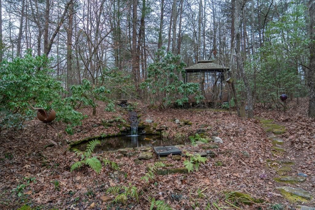 561 Cartecay Trace