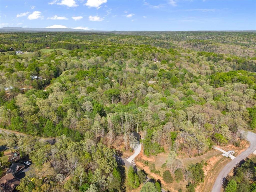 162 Hickory Ridge Drive