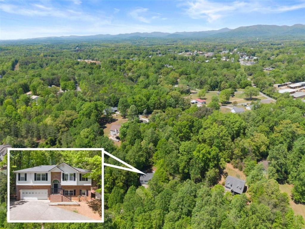 162 Greenview Court