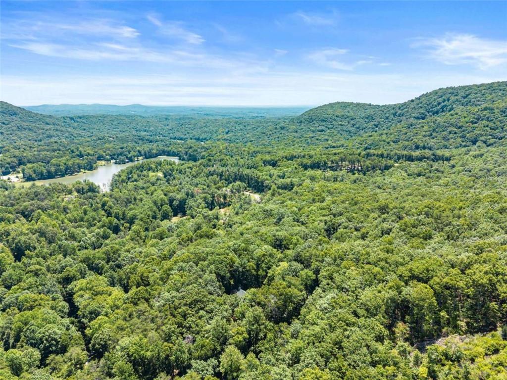 257 Interlochen Court