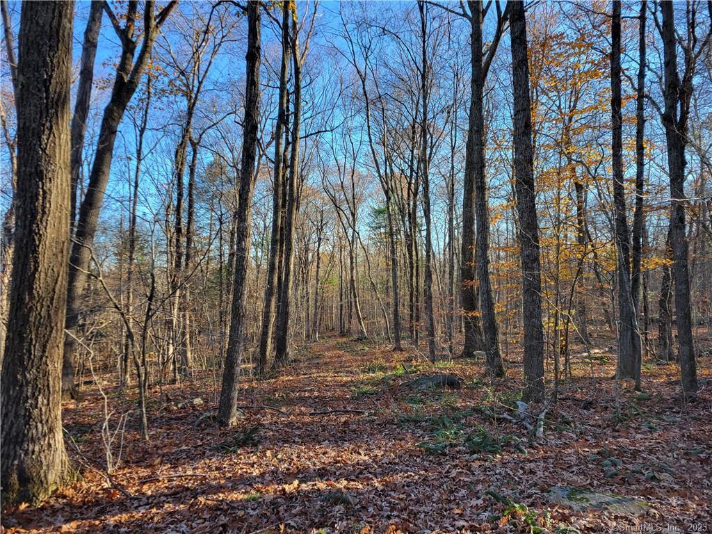 Lot 4 Browns Road