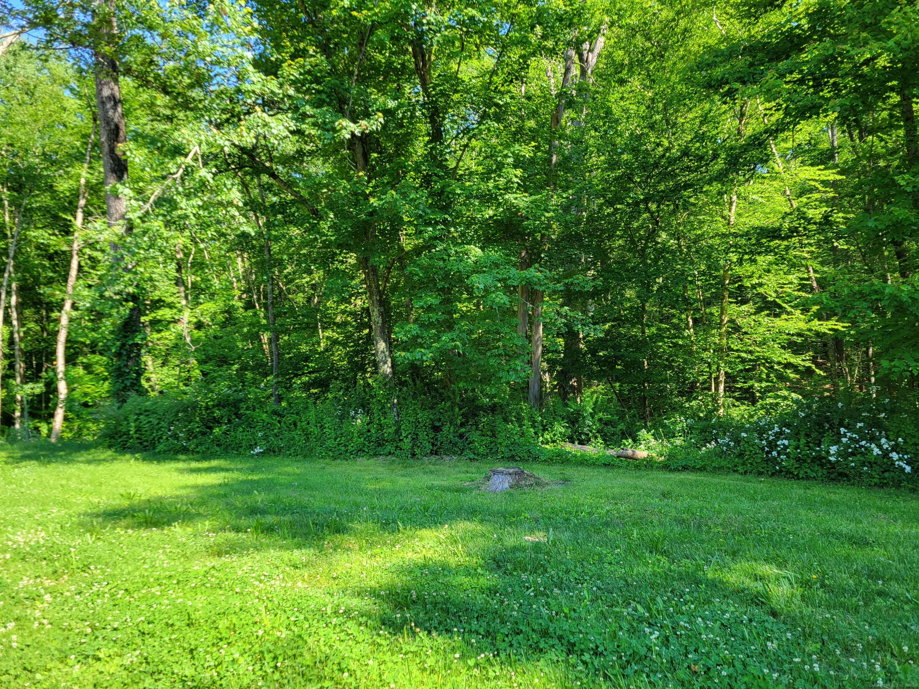 9 White Oak Condo A