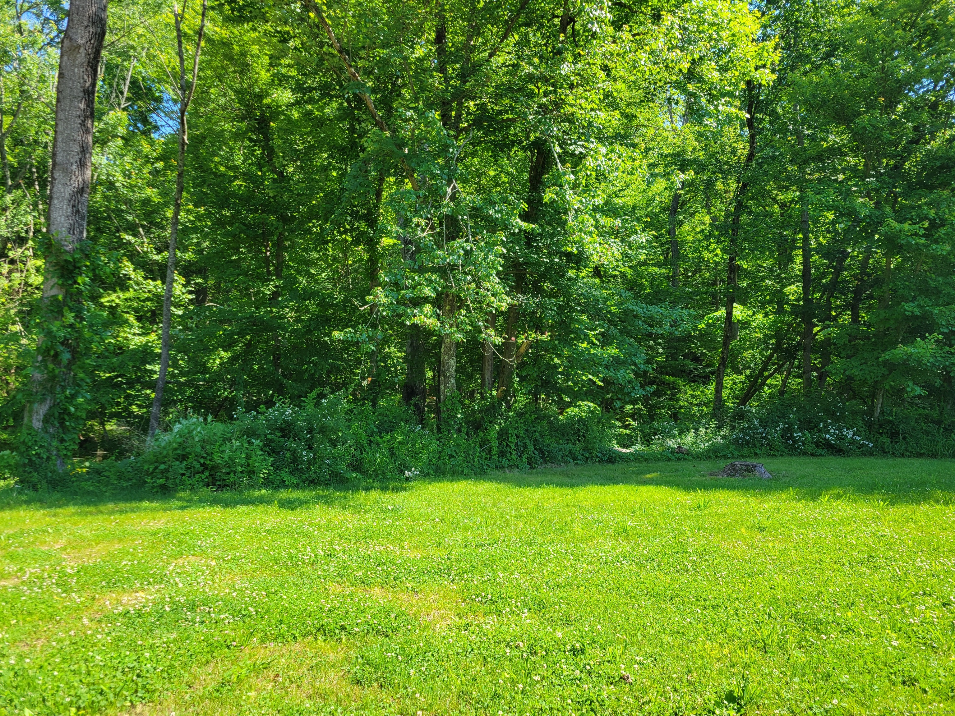 9 White Oak Condo A