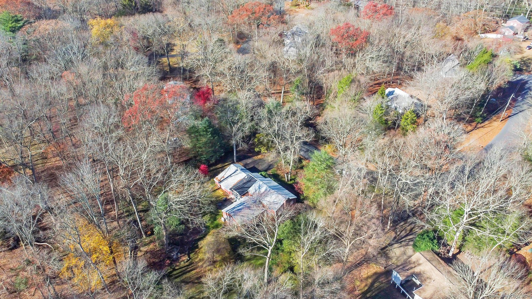 61 Hillyndale Road