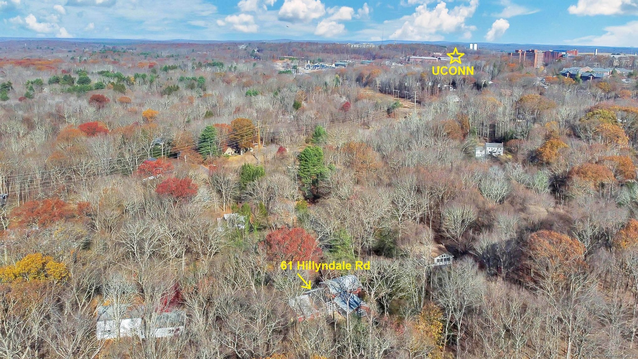61 Hillyndale Road