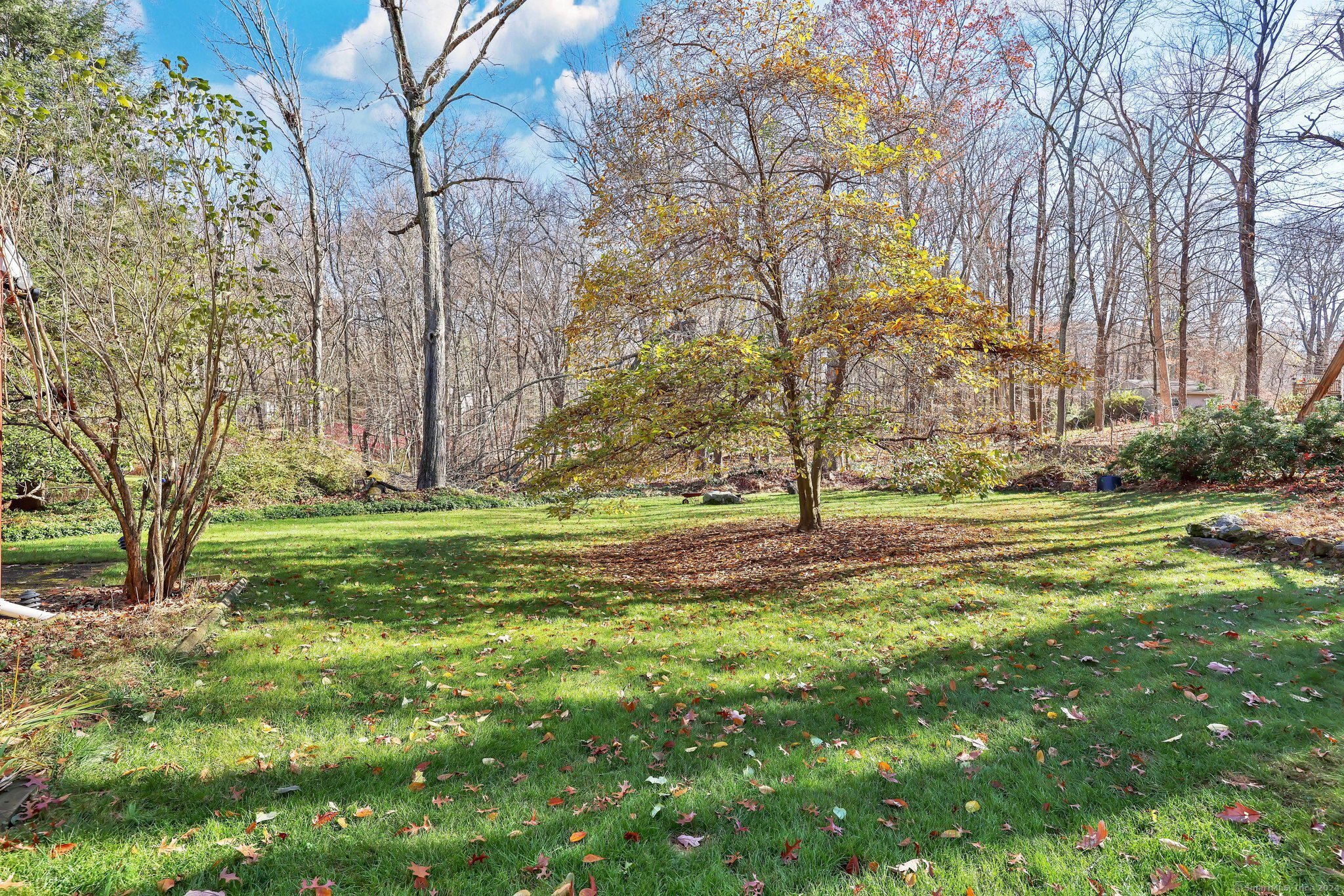 61 Hillyndale Road