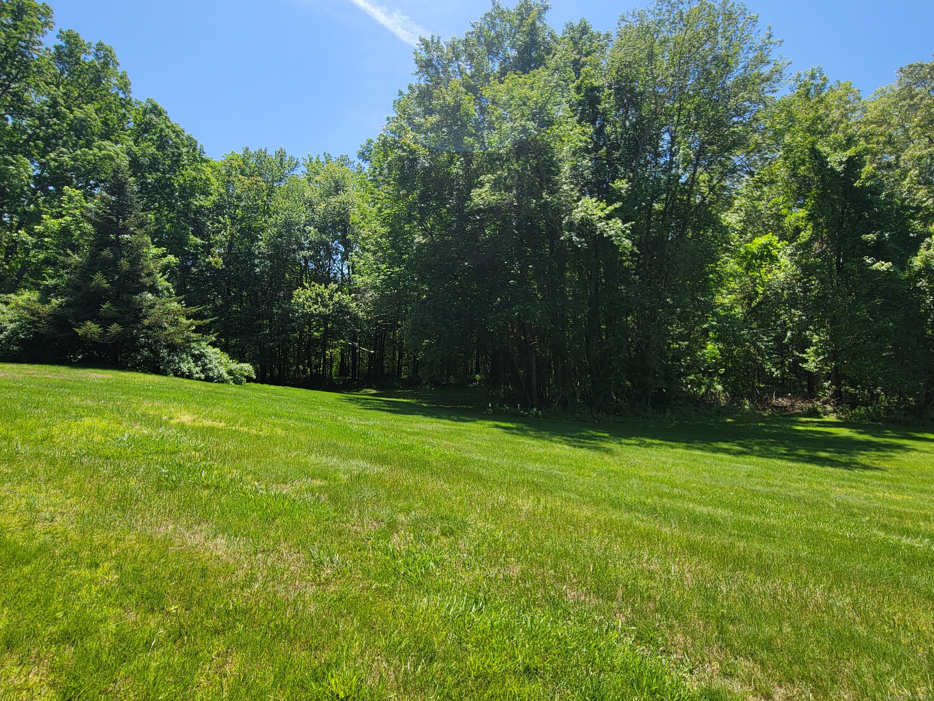 213 Baxter Road APT D