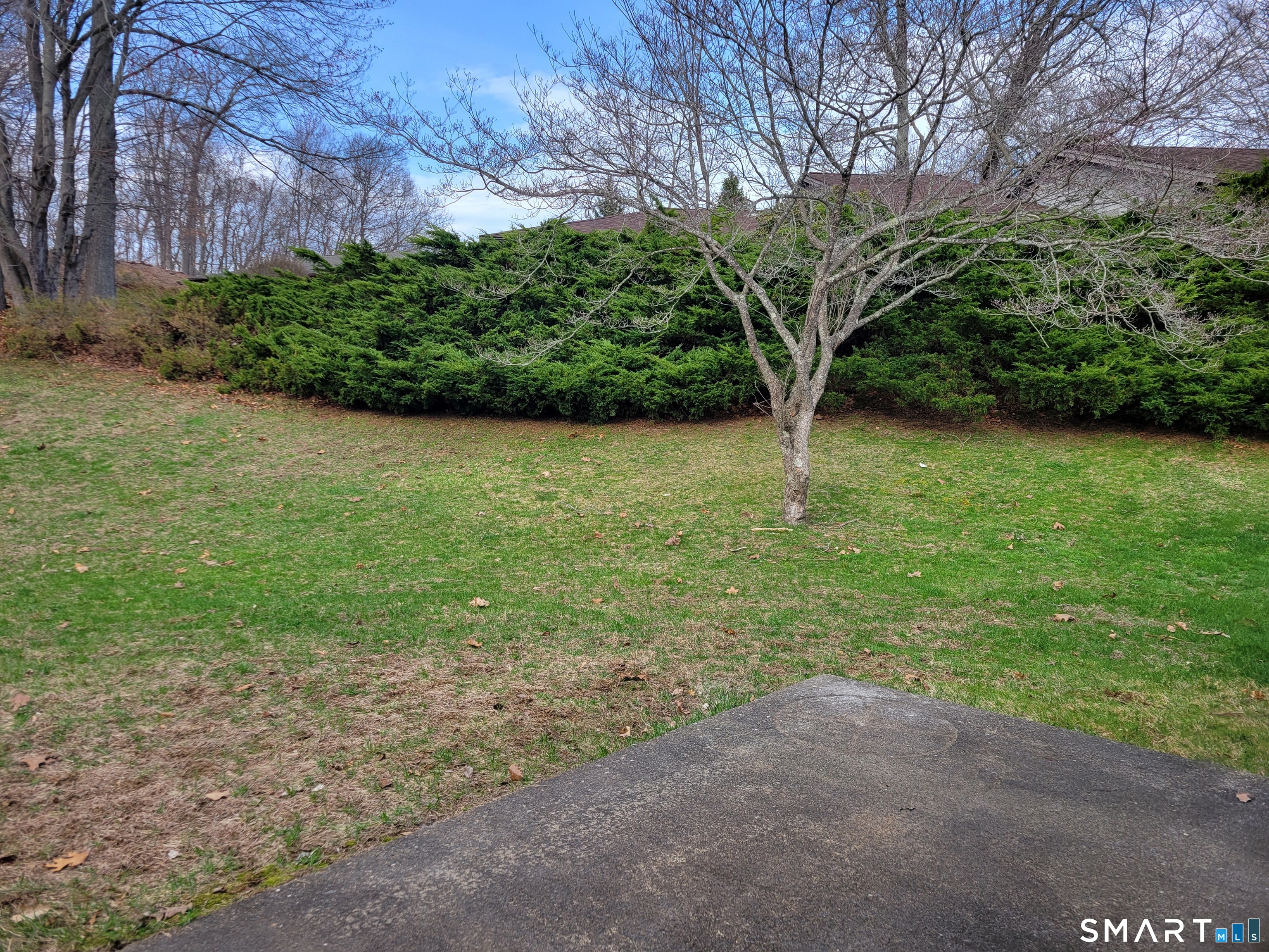 14 Sycamore Drive D