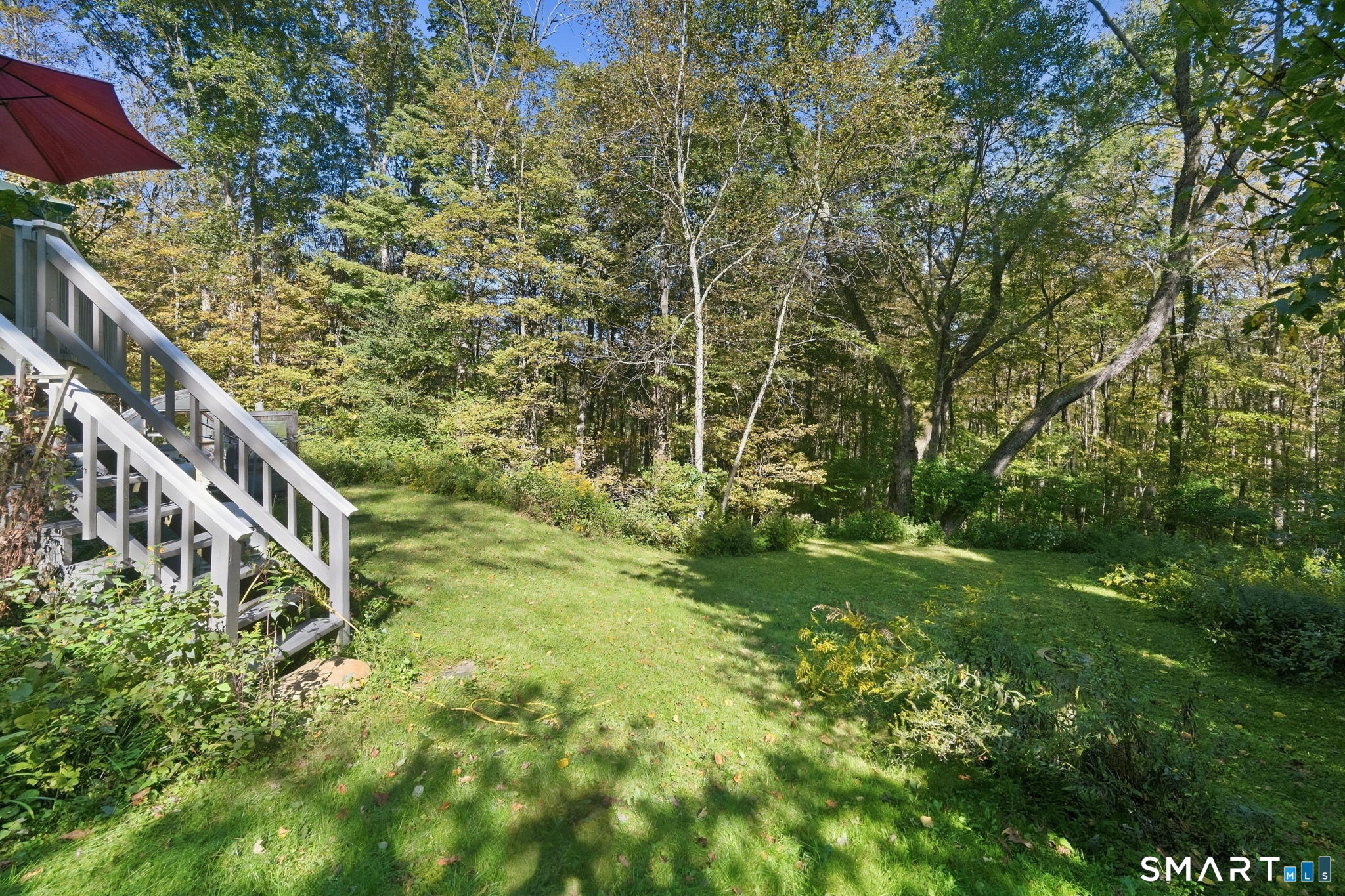 Wooded backyard with a grassy lawn and white deck stairs beneath mature trees.