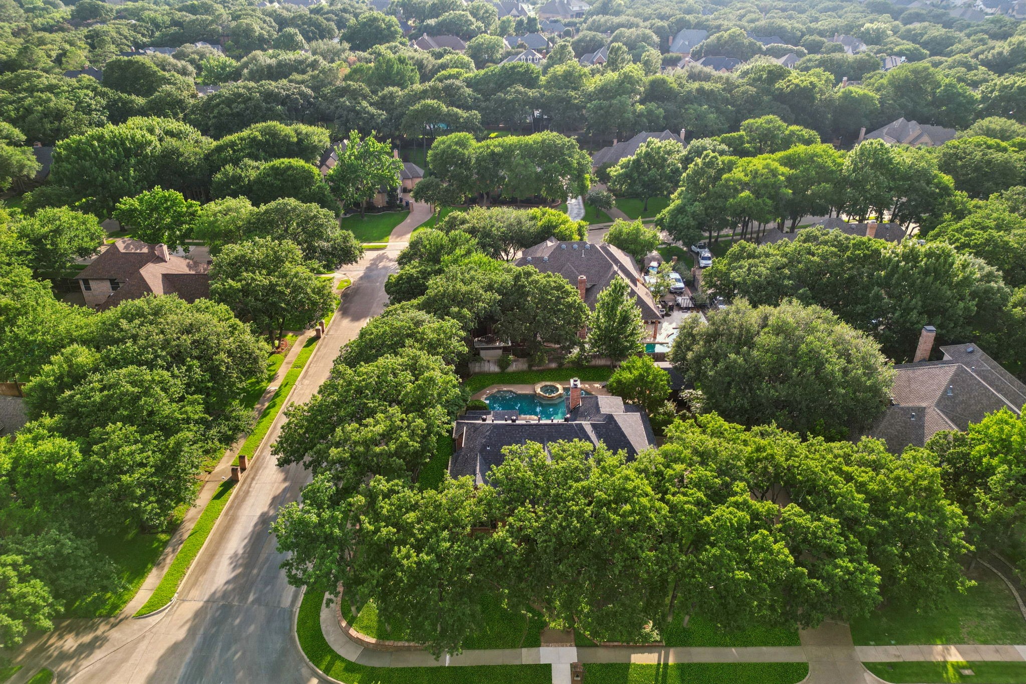 1117 Charleston Court