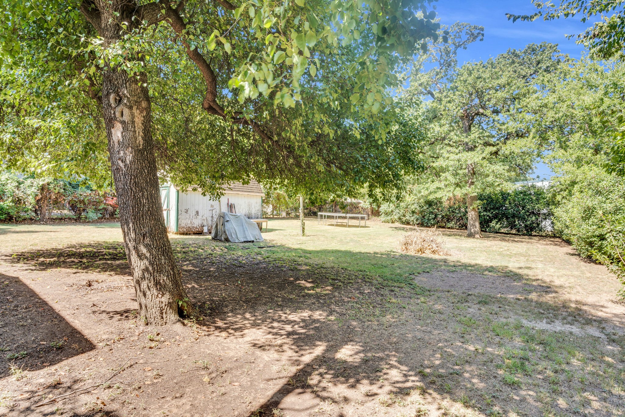 1206 Timberline Court