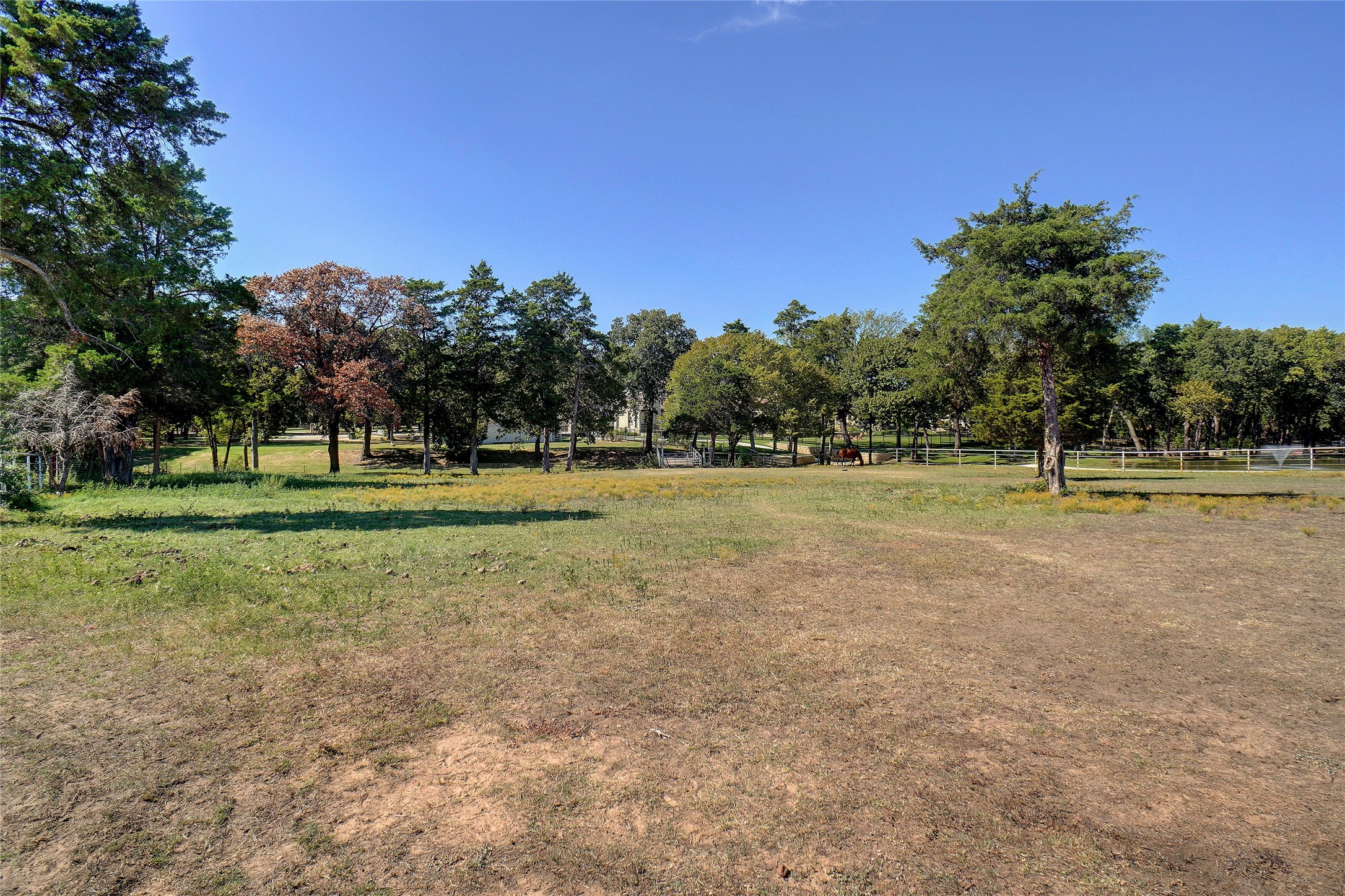 1285 Shady Oaks Drive