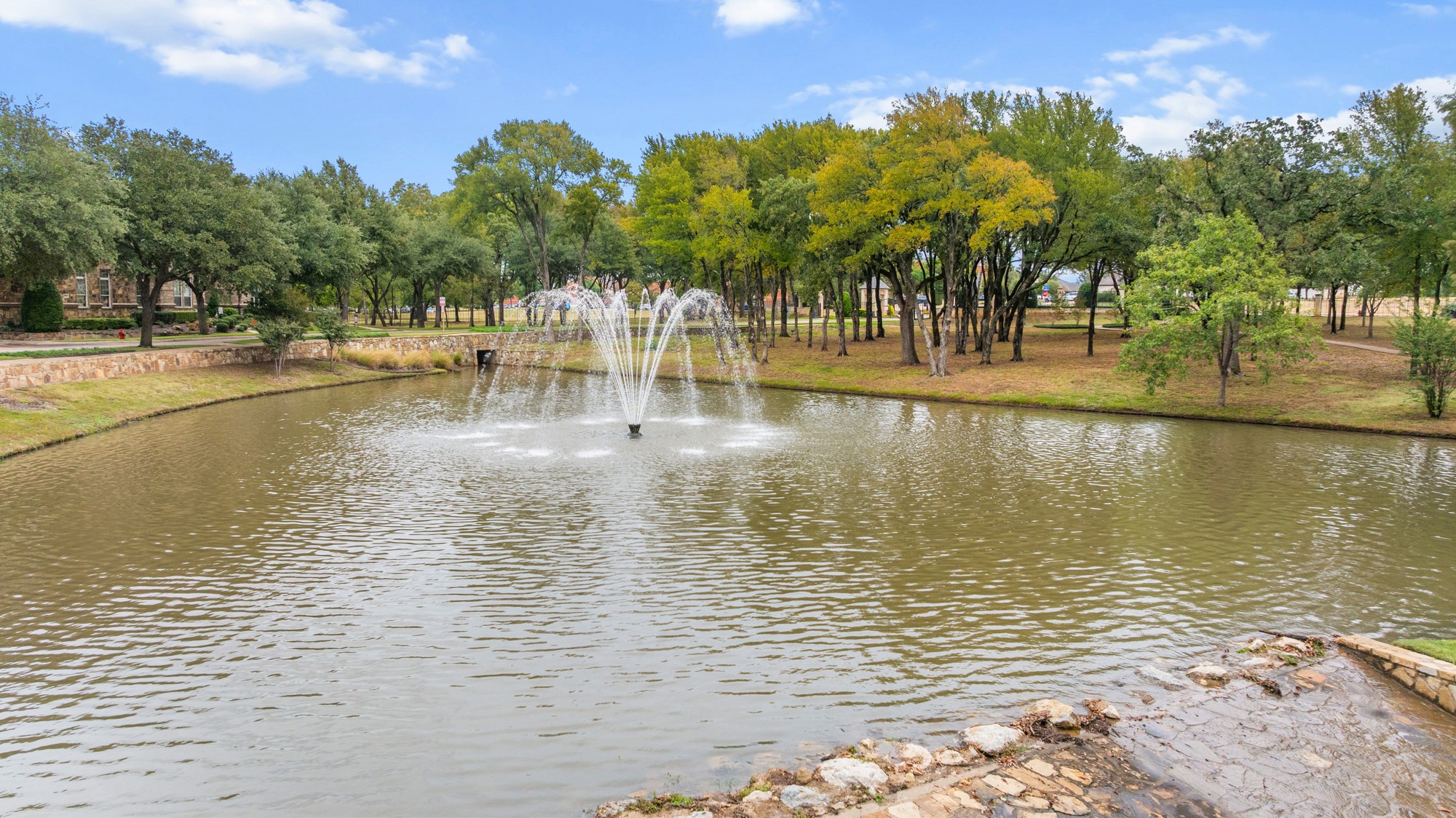 3933 Blackjack Oak Drive