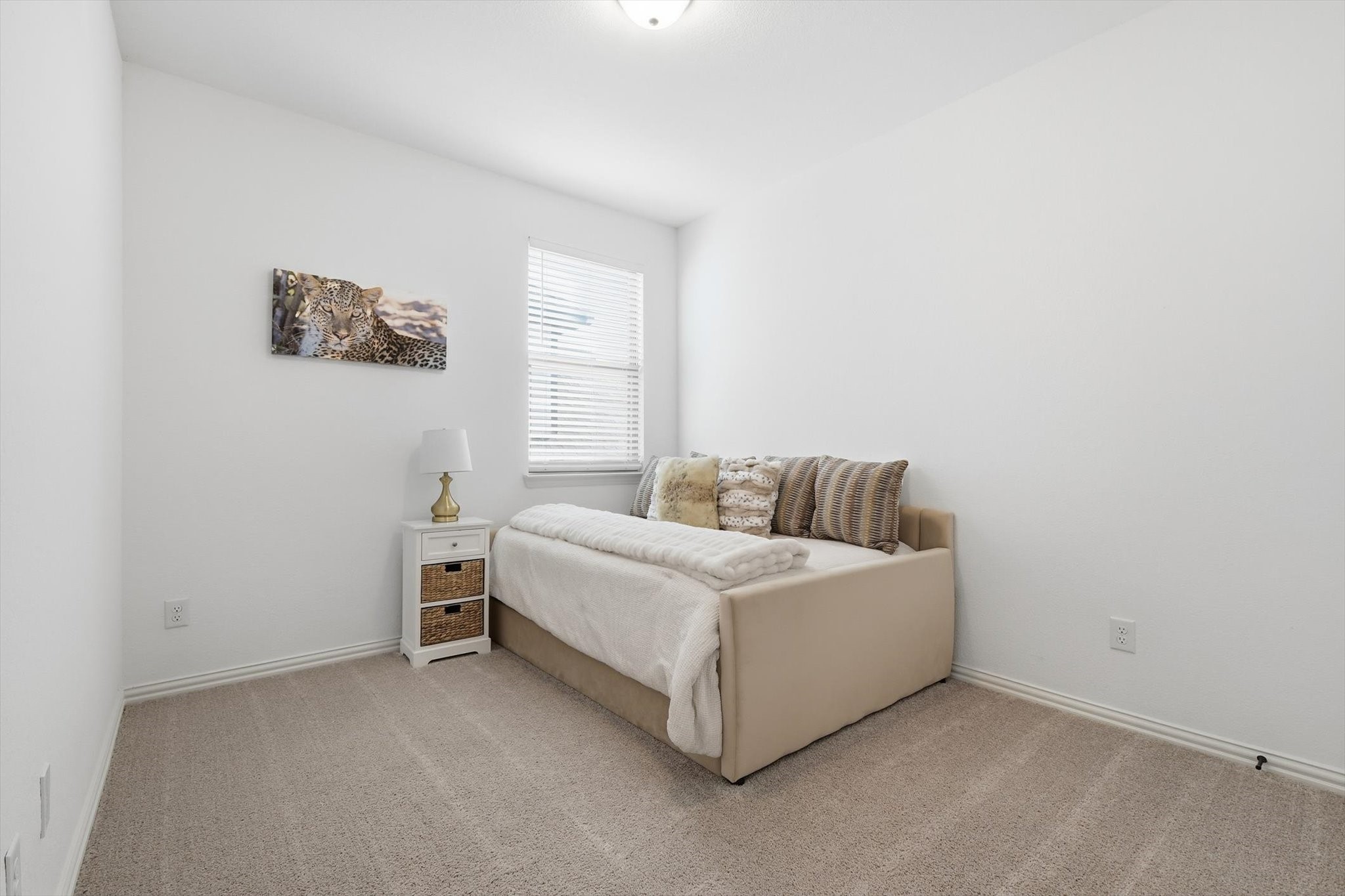 2331 Jack Rabbit Way